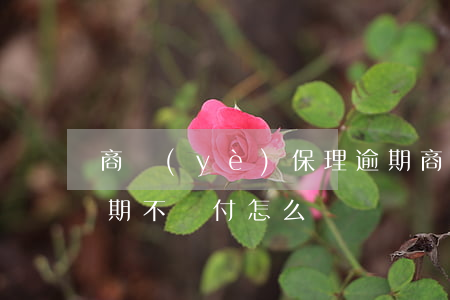 商業(yè)保理逾期(商業(yè)保理到期不兌付怎么辦)