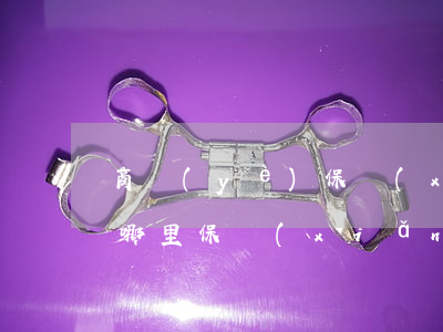 商業(yè)保險(xiǎn)合同糾紛在哪里(保險(xiǎn)合同糾紛屬于什么案件)