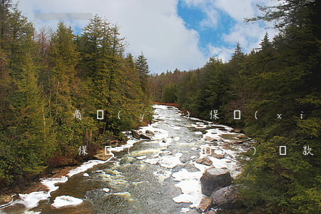 商業(yè)保險(xiǎn)貸款還不起(保險(xiǎn)貸款還不上會(huì)坐牢嗎?)