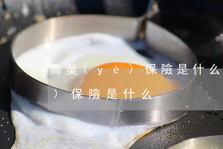 商業(yè)保險是什么(大學生商業(yè)保險是什么)