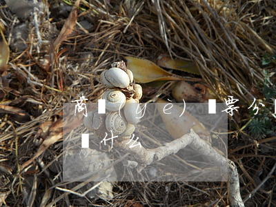 商業(yè)匯票分為(商業(yè)匯票分為什么)