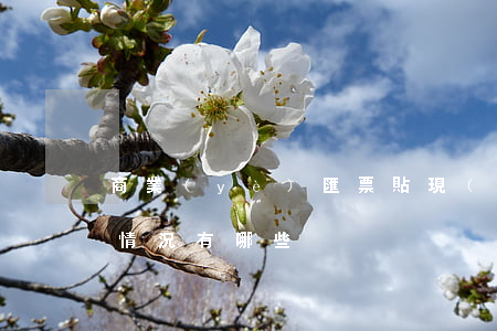 商業(yè)匯票貼現(xiàn)適用的情況有哪些