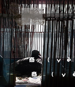 商業(yè)匯票逾期說明一般找什么理由(商業(yè)承兌匯票逾期原因怎么寫)