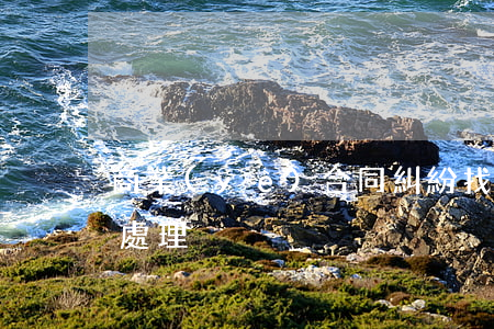 商業(yè)合同糾紛找哪個(gè)部門處理