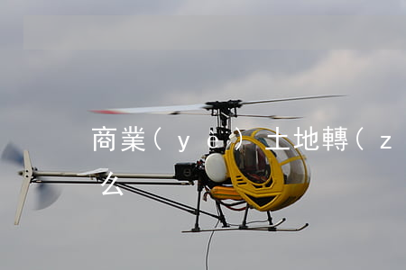 商業(yè)土地轉(zhuǎn)讓是什么