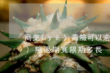 商業(yè)壽險可以逾期多久(商業(yè)險過期寬限期多長)