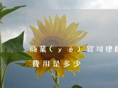 商業(yè)官司律師費用多少(打官司律師費用是多少)