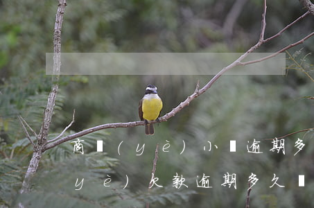 商業(yè)小貸逾期多久會被起訴(商業(yè)欠款逾期多久會被起訴)
