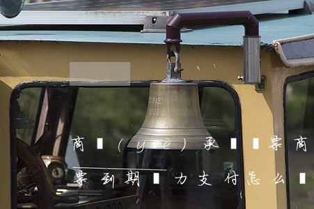 商業(yè)承兌匯票(商業(yè)承兌匯票到期無力支付怎么辦)
