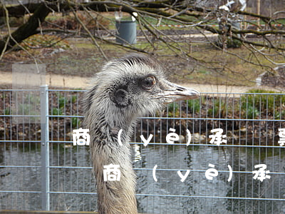 商業(yè)承兌匯票持續(xù)逾期名單(商業(yè)承兌匯票持續(xù)逾期名單怎么辦)