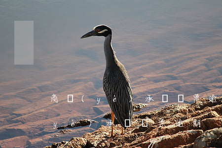 商業(yè)承兌匯票逾期多久起訴(商業(yè)承兌匯票 逾期)
