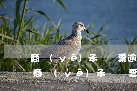 商業(yè)承兌匯票逾期追索怎么撤銷-商業(yè)承兌匯票逾期追索怎么撤銷申請(qǐng)