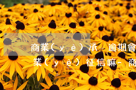 商業(yè)承兌逾期會(huì)影響企業(yè)征信嘛-商業(yè)承兌逾期會(huì)影響企業(yè)征信嘛知乎
