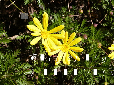 商業(yè)業(yè)主也應(yīng)積極參與小區(qū)業(yè)委會