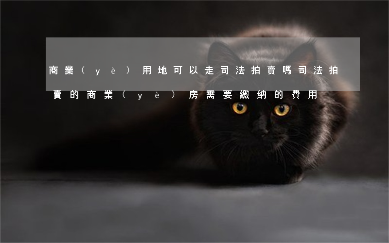 商業(yè)用地可以走司法拍賣嗎(司法拍賣的商業(yè)房需要繳納的費用)