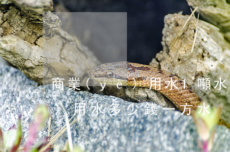 商業(yè)用水1噸水多少錢(商業(yè)用水多少錢一方水)