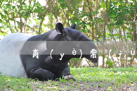 商業(yè)票據(jù)融資有什么目的