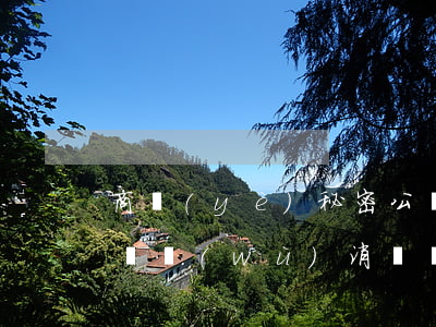 商業(yè)秘密公開后,競業(yè)限制義務(wù)消滅舉例