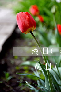 商業(yè)秘密權(quán)(如何取得商業(yè)秘密權(quán))