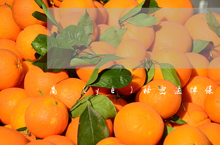 商業(yè)秘密法律保護(hù)研究