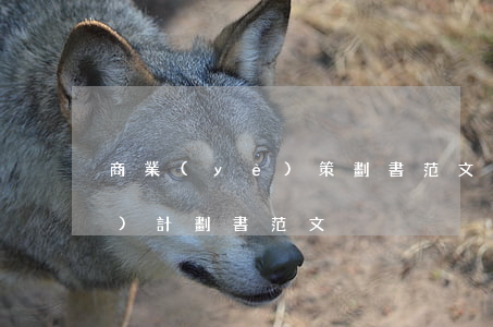 商業(yè)策劃書范文(美容院商業(yè)計劃書范文)