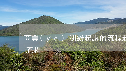 商業(yè)糾紛起訴的流程(起訴民事糾紛流程)