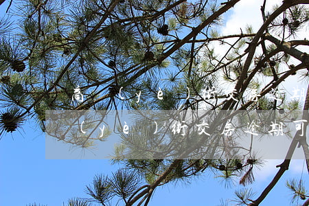 商業(yè)街交房逾期可以退租金嗎(商業(yè)街交房逾期可以退租金嗎合法嗎)