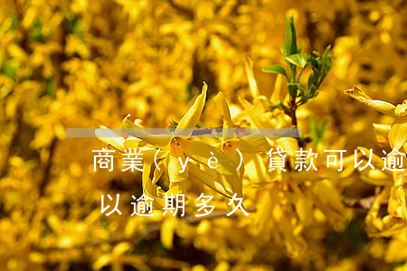 商業(yè)貸款可以逾期幾次(貸款最多可以逾期多久)