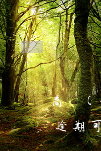 商業(yè)貸款征信9期逾期(征信有6次逾期可以商業(yè)貸款買(mǎi)房嗎)