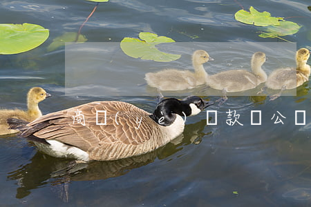 商業(yè)貸款轉公積金貸款