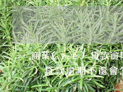 商業(yè)貸款逾期存錢(銀行商業(yè)貸款逾期不還會怎么辦?)