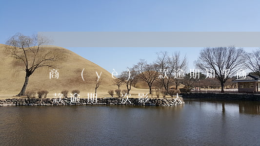 商業(yè)貸款逾期知乎(商業(yè)貸款逾期一次影響大嗎)