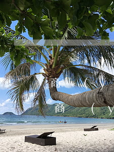 商業(yè)貸款還不上會(huì)怎樣（商業(yè)銀行貸款無(wú)力償還）
