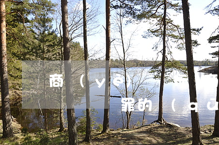 商業(yè)賄賂行為(商業(yè)賄賂行為與賄賂罪的區(qū)別)