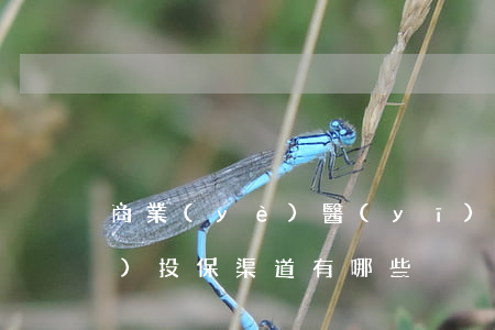 商業(yè)醫(yī)療保險(xiǎn)投保渠道有哪些