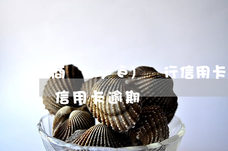 商業(yè)銀行信用卡逾期不還-欠銀行信用卡逾期