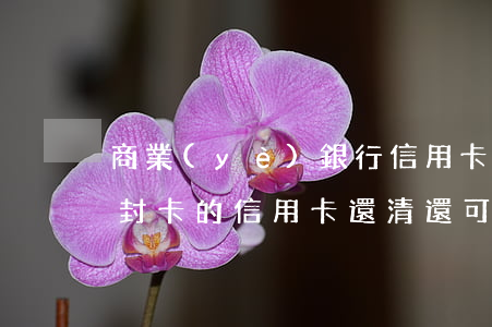 商業(yè)銀行信用卡逾期多久封卡(逾期封卡的信用卡還清還可以開卡嗎?)