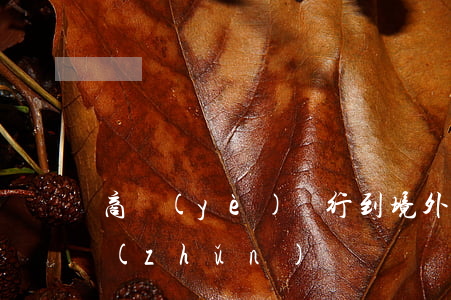 商業(yè)銀行到境外借款是否需要批準(zhǔn)