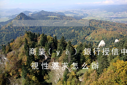 商業(yè)銀行授信中設(shè)置歧視性要求怎么辦