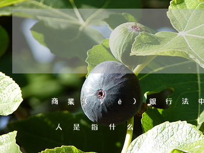 商業(yè)銀行法中的關(guān)系人是指什么