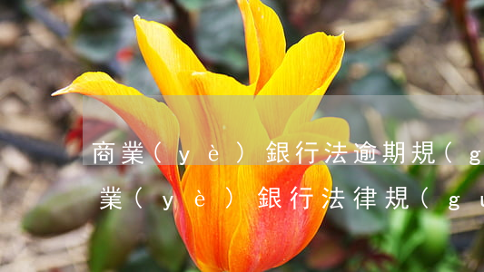 商業(yè)銀行法逾期規(guī)定(商業(yè)銀行法律規(guī)定)