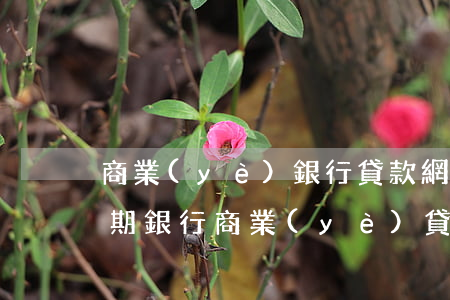 商業(yè)銀行貸款網(wǎng)貸逾期(銀行商業(yè)貸款逾期不還會怎么辦?)