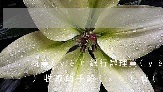 商業(yè)銀行辦理業(yè)務(wù)收取的手續(xù)費(fèi)如何確定