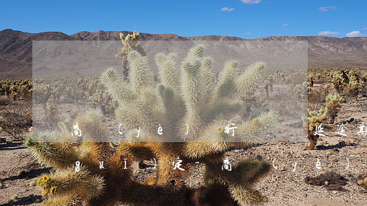 商業(yè)銀行違約遲延逾期利息的規(guī)定-商業(yè)銀行法逾期條款