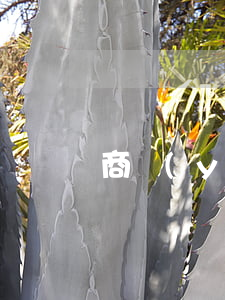 商業(yè)險包括哪些