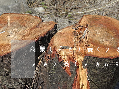 商業(yè)養(yǎng)老保險(商業(yè)養(yǎng)老保險一般多少錢一年)