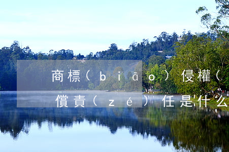 商標(biāo)侵權(quán)民事賠償責(zé)任是什么