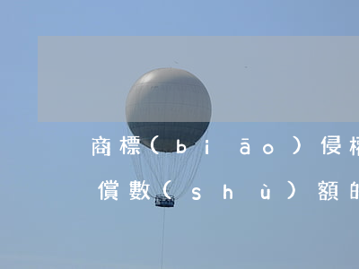 商標(biāo)侵權(quán)法定賠償數(shù)額的確定與侵權(quán)情節(jié)的關(guān)系