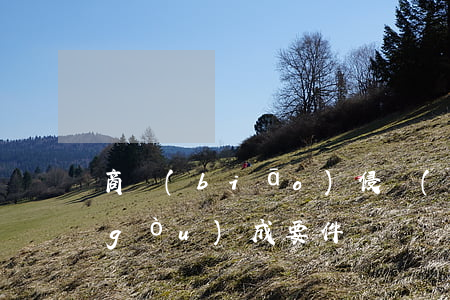 商標(biāo)侵權(quán)的構(gòu)成要件