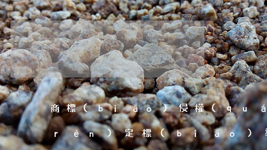 商標(biāo)侵權(quán)的認(rèn)定標(biāo)準(zhǔn)及應(yīng)對(duì)措施